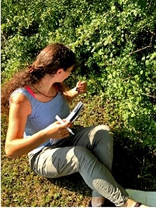 A researcher sitting next to P spinosa shrubs and studying leaves whilst holding a notebook and pen.